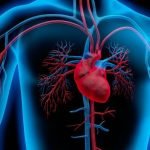 Read more about the article Top Rated Specialized Keyhole Heart Surgeons